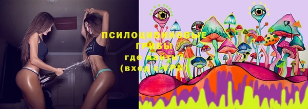 спайс Белокуриха